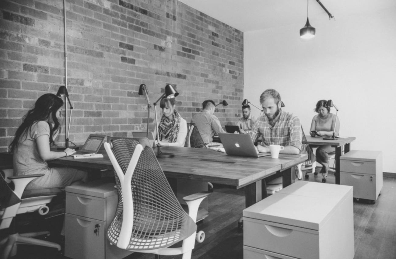 Harvelo founder reviewing course content
